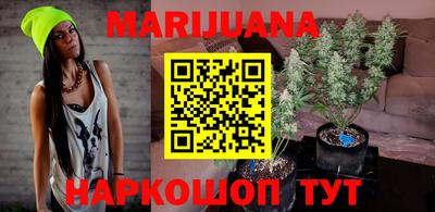 индика Шахты