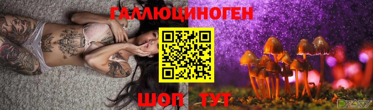 Галлюциногенные грибы Cubensis  Галлюциногенные грибы прущие грибы  Вход с VPN  Кувандык 