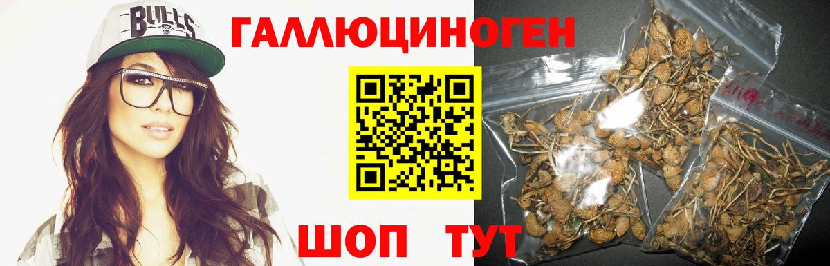 Галлюциногенные грибы мухоморы Кувандык